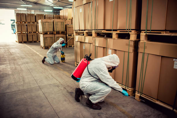 Flea Control Services in Quincy, MA