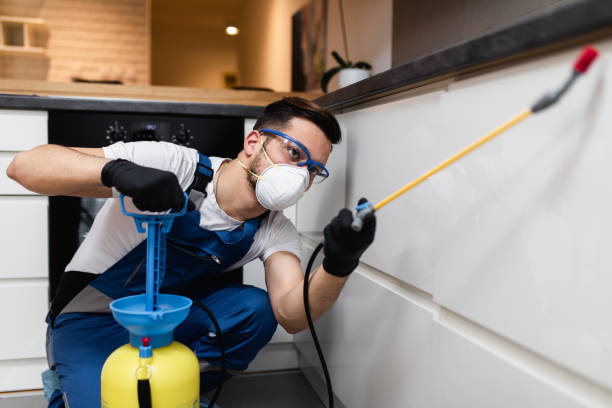 Best Best Pest Control Companies  in Quincy, MA