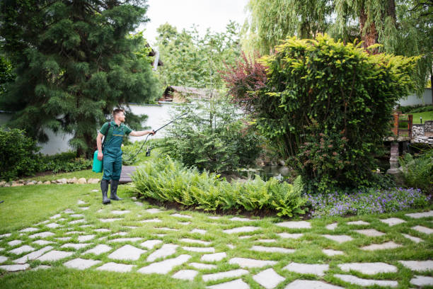 Pest Prevention Services in Quincy, MA