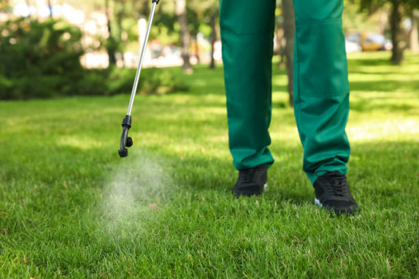  Quincy, MA Pest Control Pros