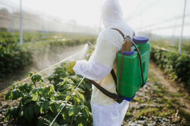 Best Pest Prevention Services  in Quincy, MA